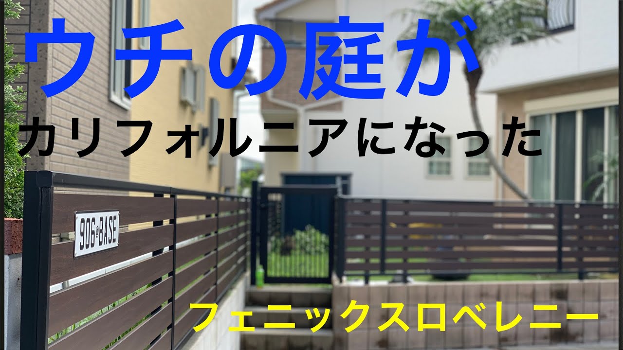 庭diy フェニックスロベレニー ヤシの木 を植えてみた現役庭屋がアドバイス おすすめの庭diy